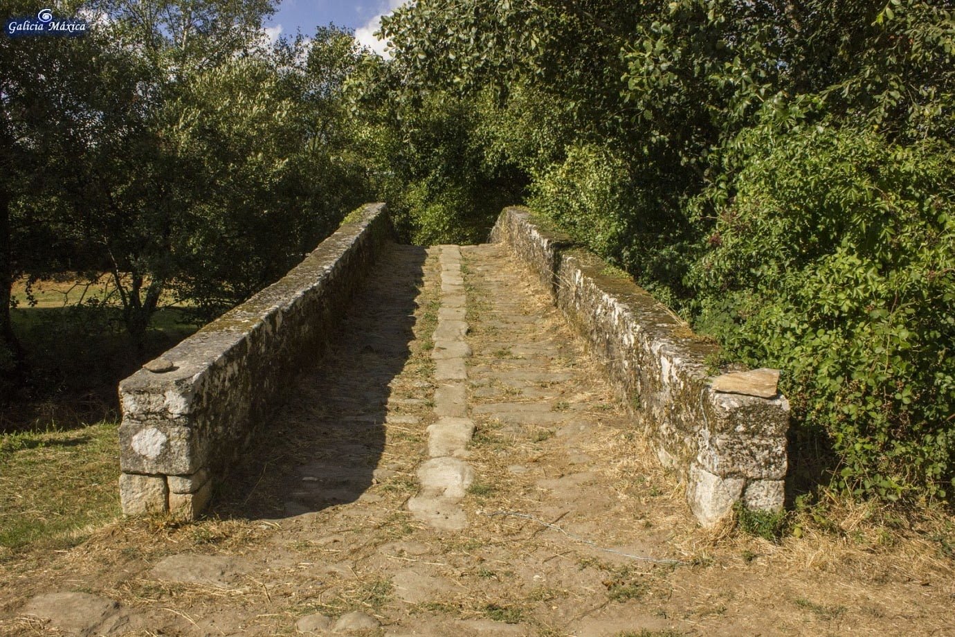 Ponte Andón