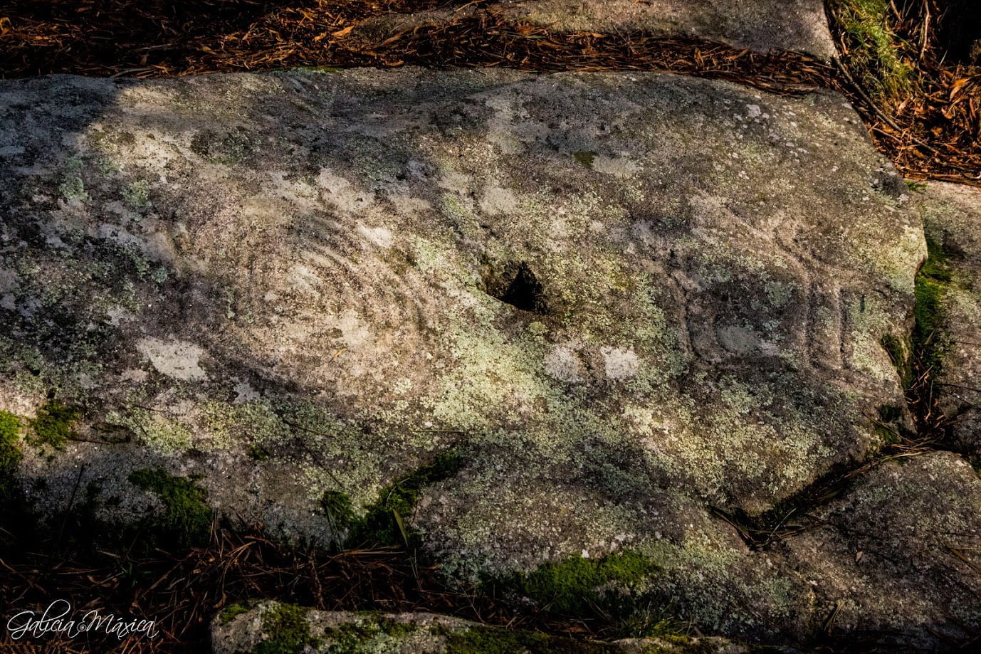 Petroglifos Outeiro do Cribo